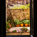 Old Town Vitaic 3*