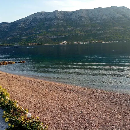 בית הארחה Old Town Vitaic